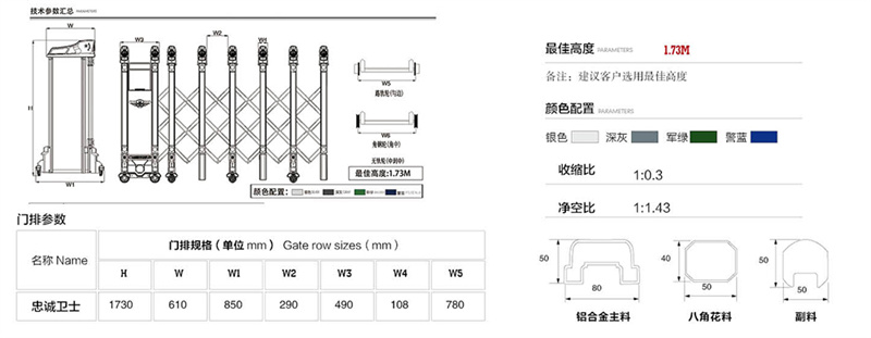 忠诚卫士008B定制电动伸缩门1.jpg